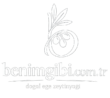 cropped benimgibilogo.png